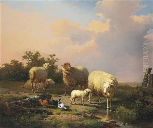 Sheep And Chickens In An Extensive Landscape With A Town Beyond - view 1