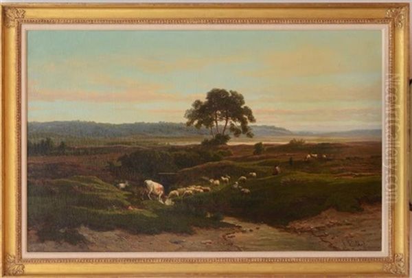Sheep And Cattle Grazing - view 1