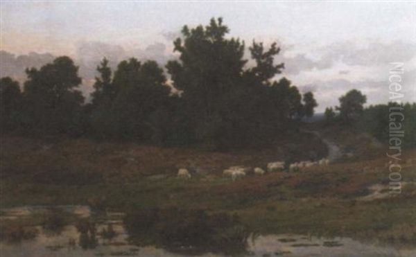 Leading The Flock Over The Heath At Dusk - view 1