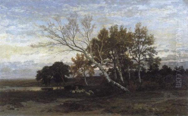 Landschap Te Neerhaeren, Limburg - view 1