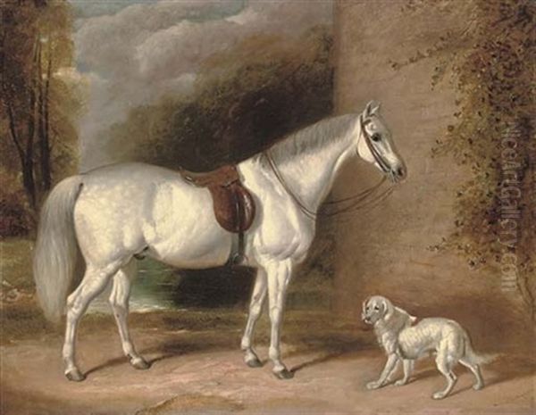 A Saddled Grey Hunter And Hound Waiting For Their Master - view 1