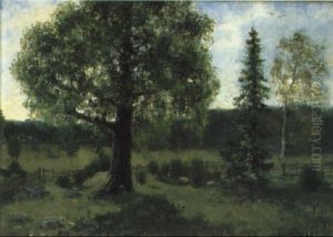Skogslandskap Med G,rdesg+rd