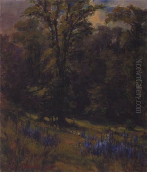 The Edge Of The Forest, Galt - view 1