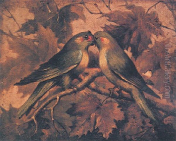 Parakeets - view 1