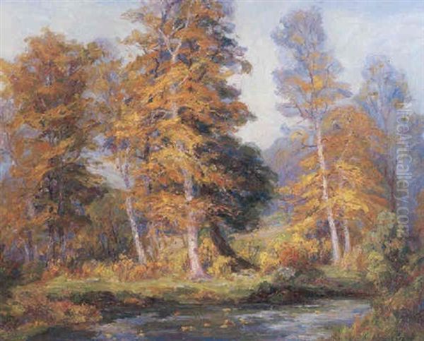 Forest Landscape - view 1