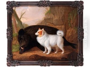 Spitz Auf Totem Eber by Christian Wilhelm Karl Kehrer
