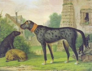 Vier Hunde Vor Dem Fenster Eines Alten Gebaudes, In Das Sich Die Katze Gefluchtet Hat by Christian Wilhelm Karl Kehrer