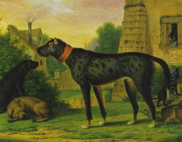 Vier Hunde Im Hof Einer Burg, Aus Deren Fenster Eine Katze Kritisch Die Szene Betrachtet - view 1