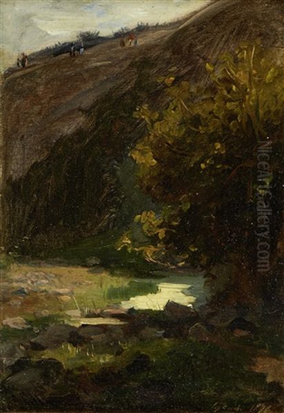 Paisagem - view 1