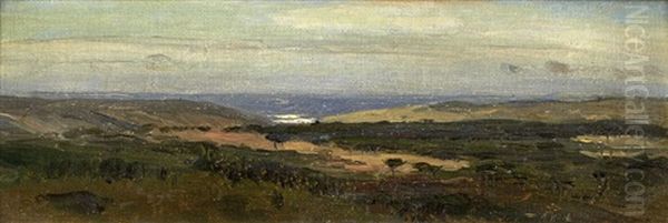 Paisagem - view 1