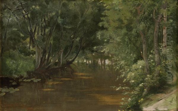 Forest Pond - view 1