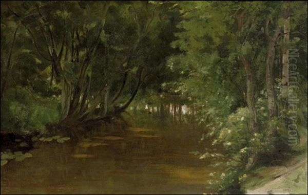Metsalampi - view 1