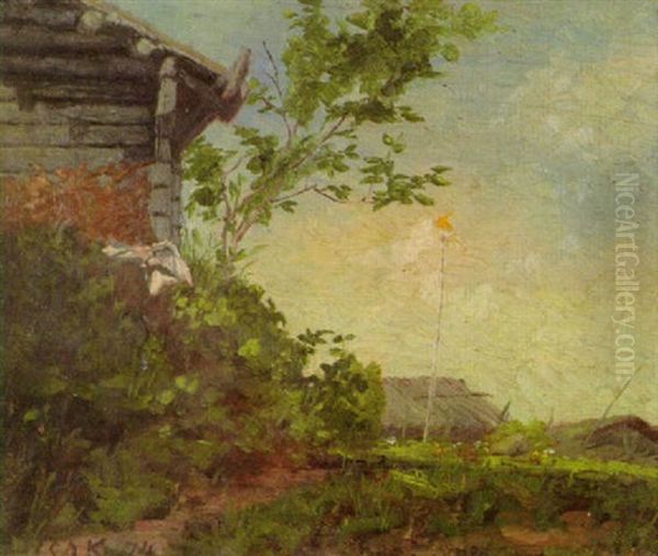 Kesapaiva - view 1