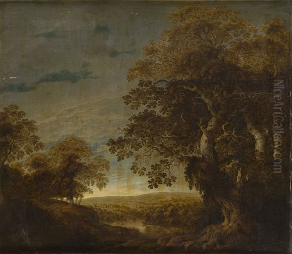 View Of The Valley Of A Forest - view 1