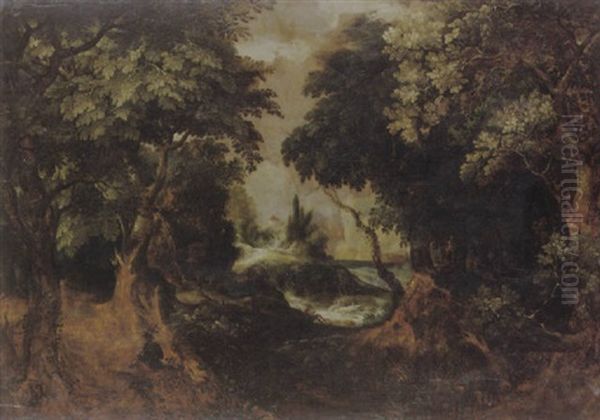 Waldlandschaft - view 1