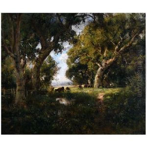 Cattle In Grove Near San Rafael