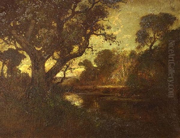 Evening Oaks - view 1