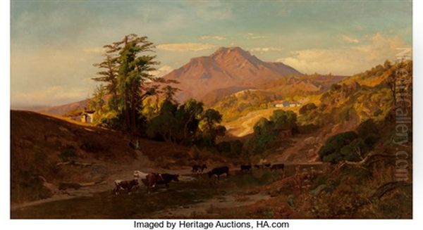Mount Tamalpais From The North West - view 1