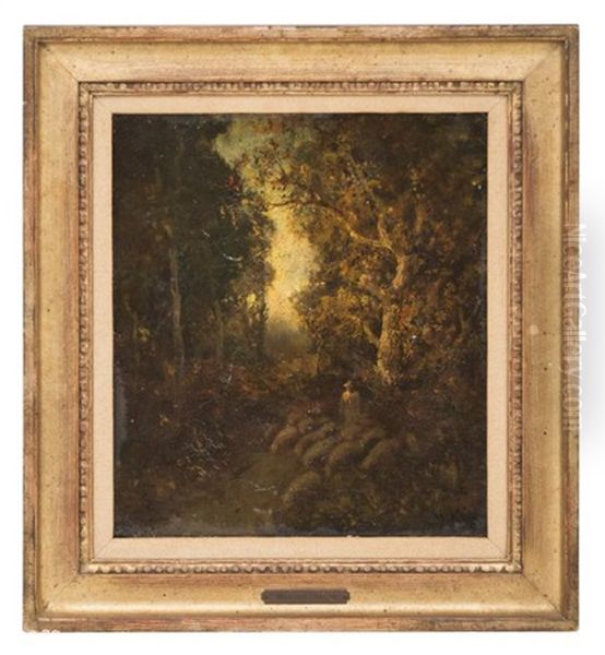 The Forest - view 1
