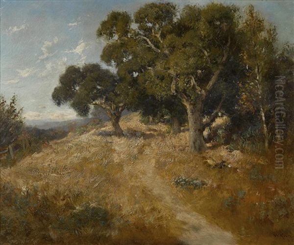 Path Through California Oaks - view 1