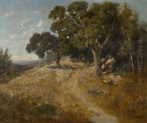 Path Through California Oaks
