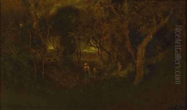 In A Wooded Glen - view 1