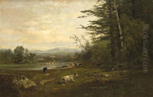 Marin County Landscape - view 1