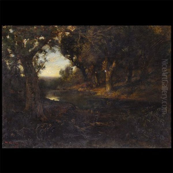 Forrest With A Pond - view 1