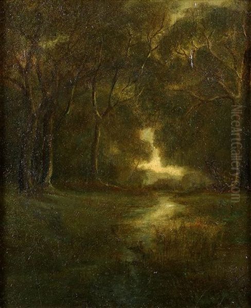 Forest Idyll - view 1