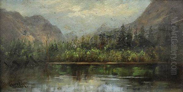 Summer Mountain Lake - view 1