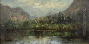 Summer Mountain Lake