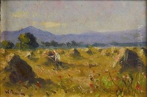 Hayfield Hayfield