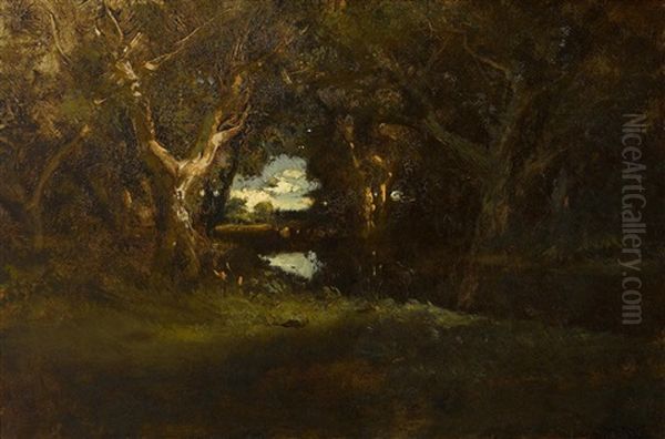 Trees And River Scene - view 1