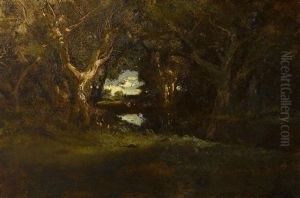 Trees And River Scene