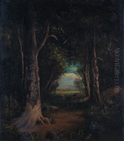 Cattle In Forest - view 1