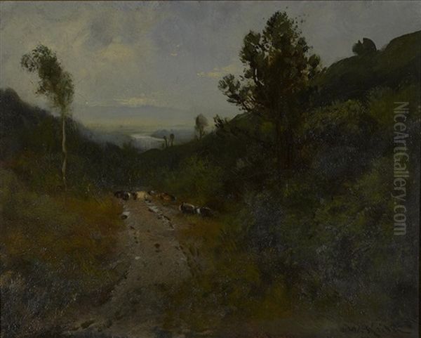 Cows Along A Path - view 1
