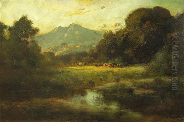 Cattle Grazing Near Mount Tamalpais - view 1
