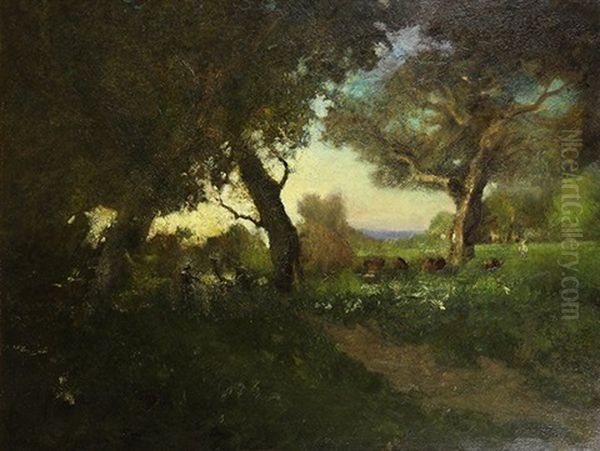 Cattle Gazing Under The Oaks - view 1