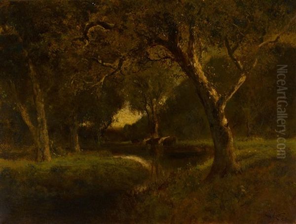 River At Evening - view 1