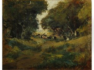 Cows Grazing Along A Wooded Path