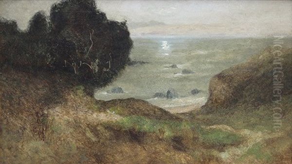 Moonlight Over The Bay - view 1