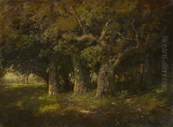 Study Of Oaks - view 1
