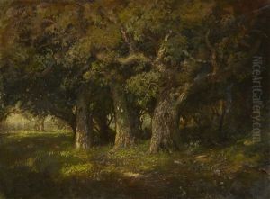 Study Of Oaks Study Of Oaks
