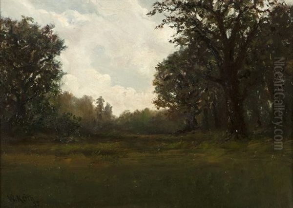 Tonalist Landscape - view 1