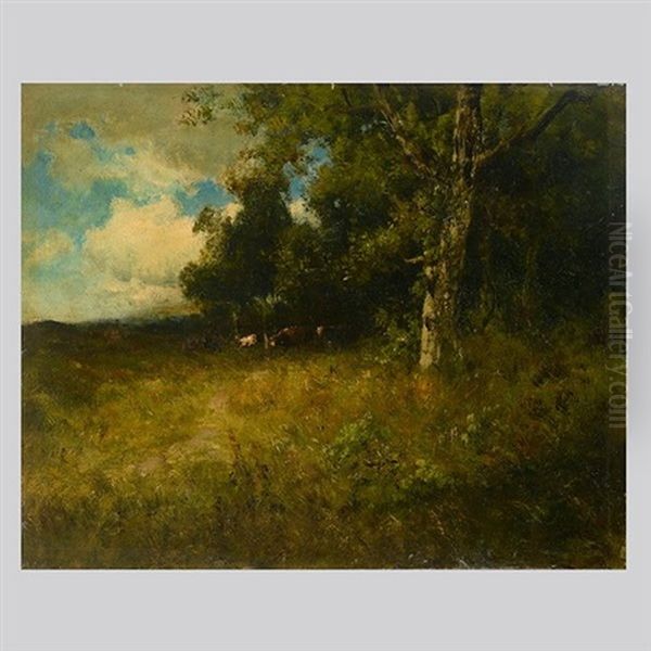Cows In A Wooded Glade - view 1