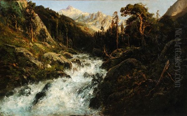 Kings River - view 1