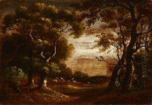 Oak Trees With Distant Grazing Sheep