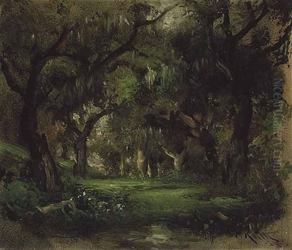 San Francisco Wooded Landscape - view 1