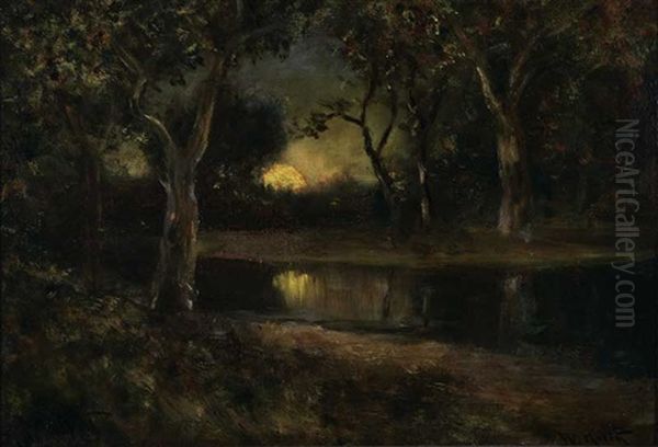 Moonrise In Nocturnal Landscape - view 1
