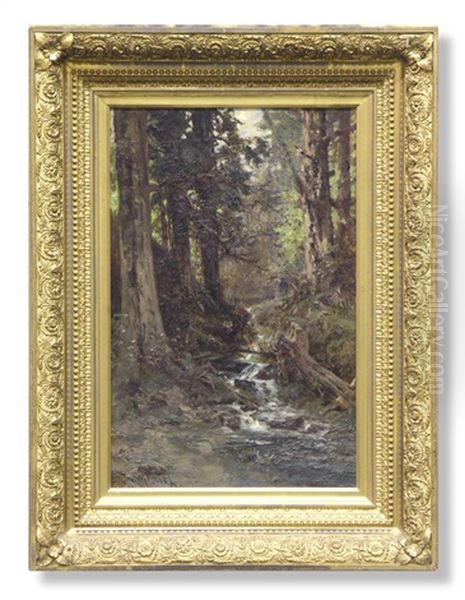 Stream Through The Redwoods - view 1
